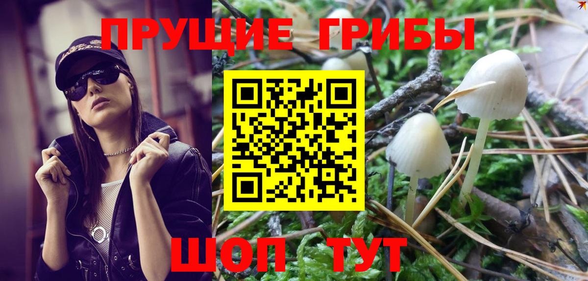 Якутск  купить  цена  Вход с VPN  Галлюциногенные грибы Psilocybe 