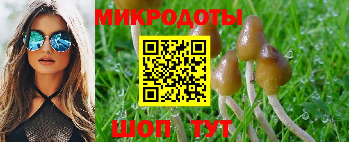 Галлюциногенные грибы Magic Shrooms Якутск